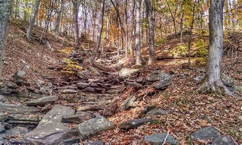 11 Of The Best Hiking Trails In Pennsylvania • The Grom Life