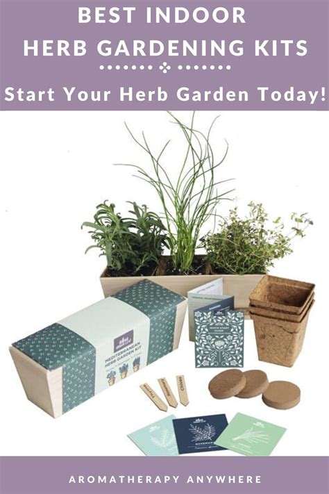 Best Indoor Herb Garden Kits - Grow Herbs All Year Round - Aromatherapy Anywhere