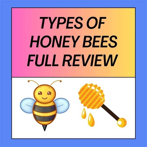 20 Types of Honey Bees You Must Know – Bee Combplex