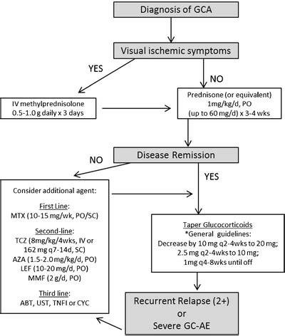 Treatment recommendations for giant cell arteritis. | Download ...