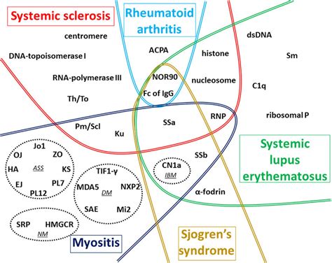 | Global vision of autoantigens targeted by autoantibody (AAb ...