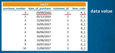 Introduction to Databases and an example of a Data Table | 365 Data Science