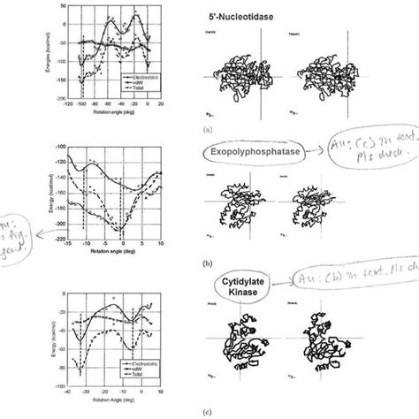 The lower part of the figure shows sketches of the " open to periplasm ...