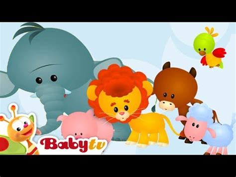 Babytv Pet