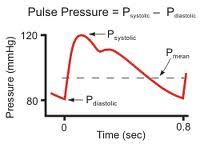 Cardiology: Pulse Pressure