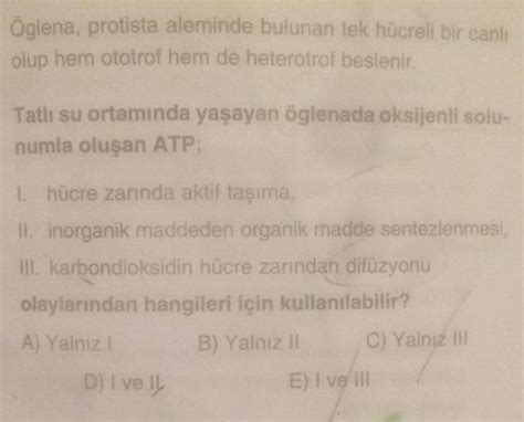 Öglena, protista aleminde bulunan tek hücreli bir canlı olup hem ototrof hem de heterotrof ...