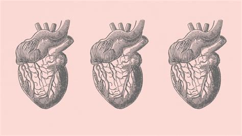 At-home heart health tests: 3 tests and what to know