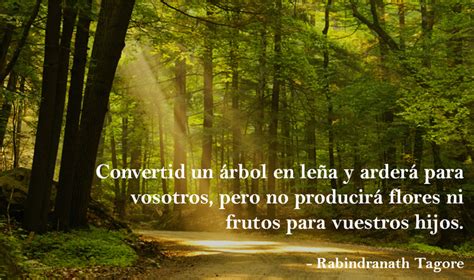 Las 5 frases más inspiradoras sobre medio ambiente | Transformando el mundo