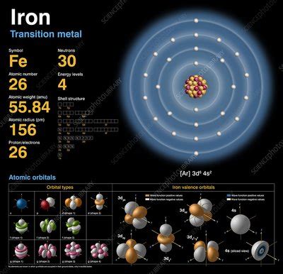 Iron, atomic structure - Stock Image - C018/3707 - Science Photo Library