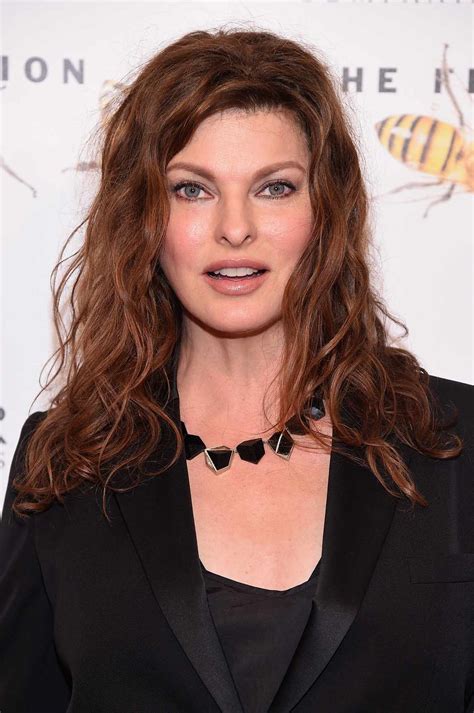 Linda Evangelista Hairstyles: Her Hair Over the Years