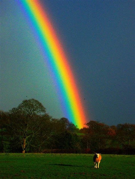 rainbow (colours enhanced) | Rainbow photography, Rainbow sky, Rainbow ...