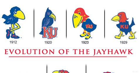 Which Jayhawk would you pick to be the actual Jayhawks