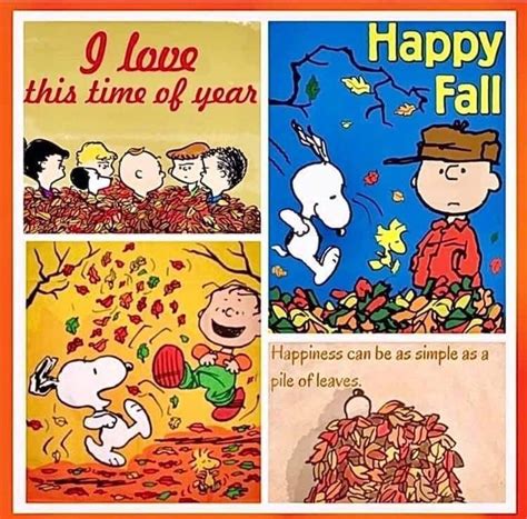 Pin by Sherry Rhoads on Happiness! ️ Snoopy & Peanuts | Snoopy quotes, Peanut pictures, Autumn art