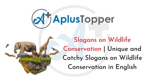 Slogans on Wildlife Conservation | Unique and Catchy Slogans on ...