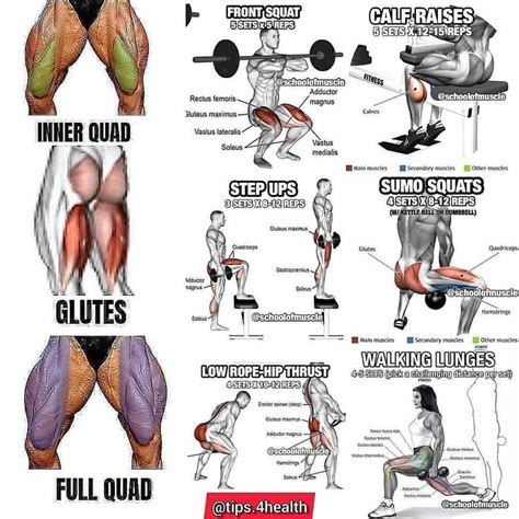 Full Leg Workout! 💪🏼. Crush those legs 🙂🔥🔥 Follow @health._tips _ Credit @schoolofmuscle | Leg ...