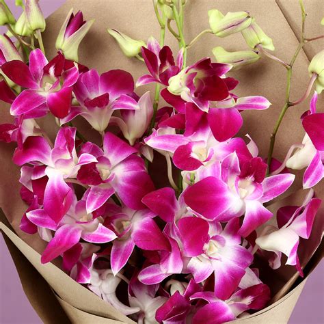 Buy/Send Royal Purple Orchids Bunch Online- Ferns N Petals