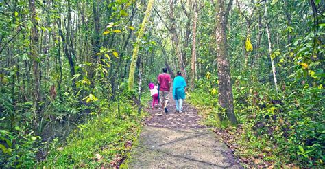 Entry fee to Kumarakom bird sanctuary hiked | Travel | Manorama English