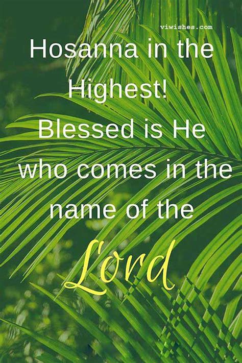 Palm Sunday 2021 Images With Bible Verses - Brad Mendoza