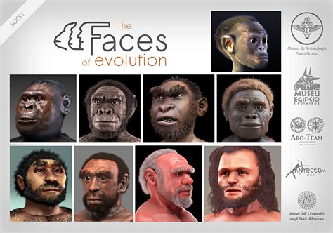 ATOR: The Faces of Evolution - Exhibition of hominids forensic facial ...