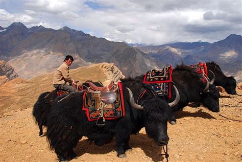 Spiti Valley Trek - Sunshine Adventures