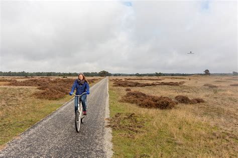 Beautiful landscapes: De Hoge Veluwe National Park — The Mint Story