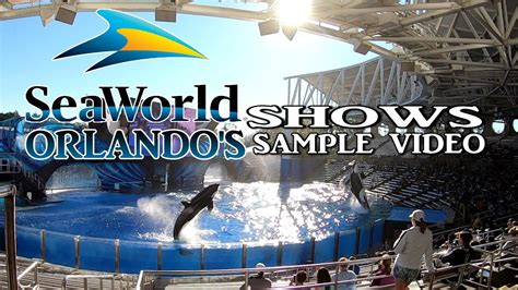 SEAWORLD ORLANDO'S SHOWS SAMPLE VIDEO - YouTube