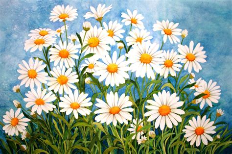 Daisies with blue background | Flower sketches, Daisy field, Original watercolors