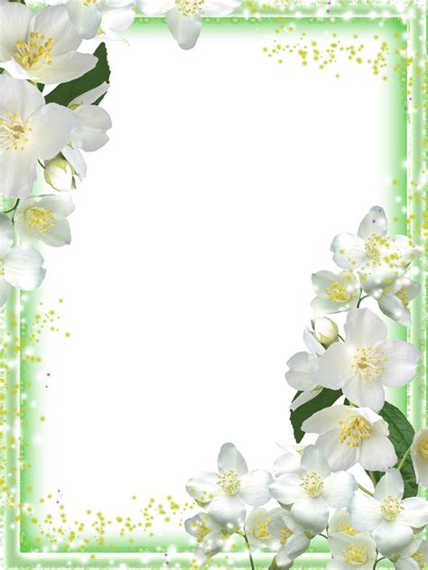Transparent Green Flowers Frame | Flower frame, Green flowers, Pink background images