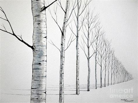 Row Of Birch Trees In The Snow | Birch trees painting, Birch tree painting, Birch tree art