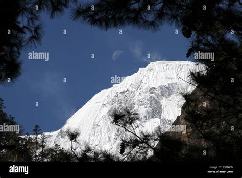 Annapurna 2 summit and moon from the forest Stock Photo - Alamy