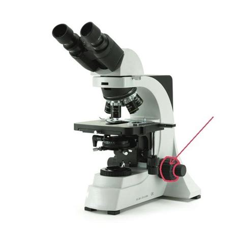 Which Microscope Is Most Useful For Visualizing A Biofilm? - Capa Learning