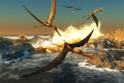 Prehistoric Flying Dinosaurs