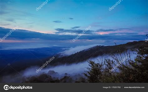 Aerial view of the forest Stock Photo by ©khlongwangchao 170201762