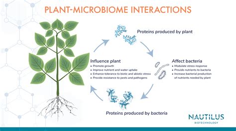 Applications of proteomics in agriculture - Plant-microbiome interactions ~ Nautilus Biotechnology