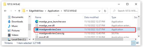 What Is Microsoft Edge WebView2 Runtime & How to Fix Its Issue ...