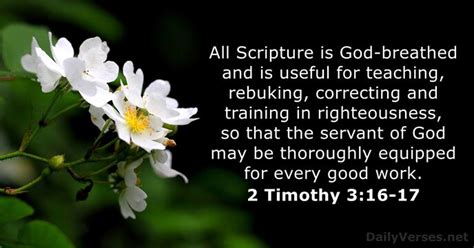 2 Timothy 3:16-17 - Bible verse - DailyVerses.net