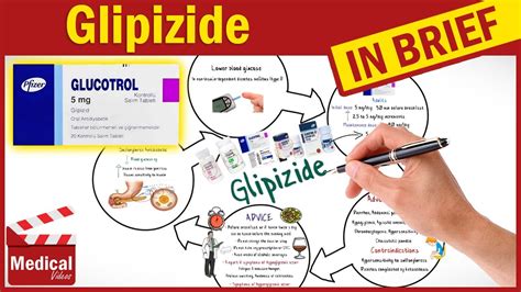 Glipizide 5 mg (Glucotrol): What Is Glipizide Used For? Uses, Dosage and Side Effects of ...