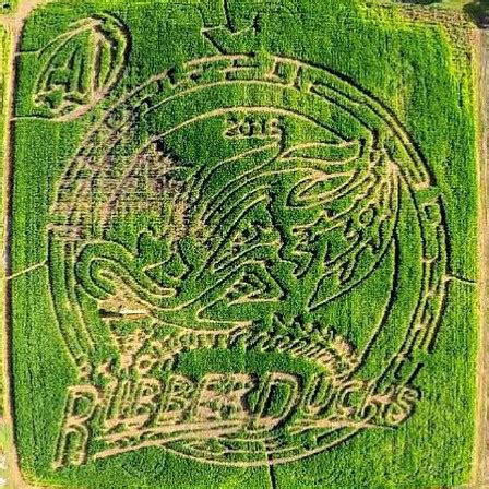 Ohio's #1 Corn Maze | Best Corn Maze in Hartville, Ohio