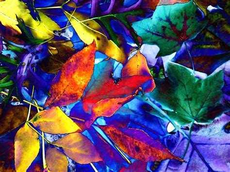 Blue Fall Leaves Photograph by Beth Akerman - Fine Art America