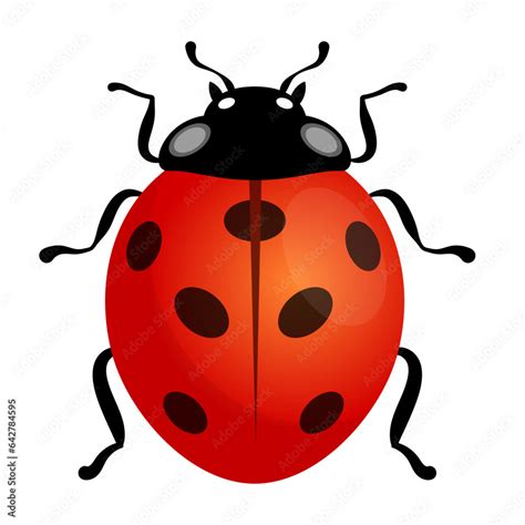 ladybug vector illustration cartoon logo icon clipart isolated on white ...