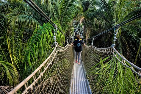 Lekki Conservation Centre Travel Guide: All You Need To Know - Sarah Toyin