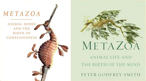 88. METAZOA » Metazoan