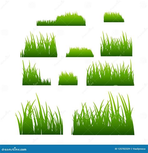 Green Grass Vector Illustration Isolated. Summer Natural Grassy Green ...