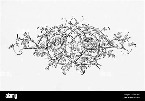 Filigree using Black and White Stock Photos & Images - Alamy