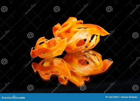 Mace spice stock image. Image of indian, shell, isolated - 16672905