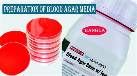 Blood Agar Preparation | Blood Agar Media Preparation Procedure - YouTube