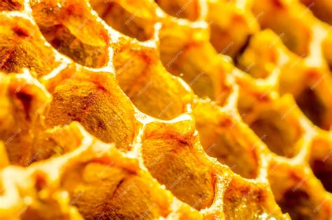 Premium Photo | Honeycomb macro