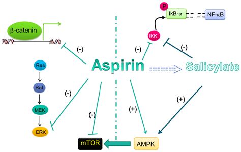 Aspirin Mechanism Of Action / Hemostasis: Lesson 5 - Antiplatelet Meds ...