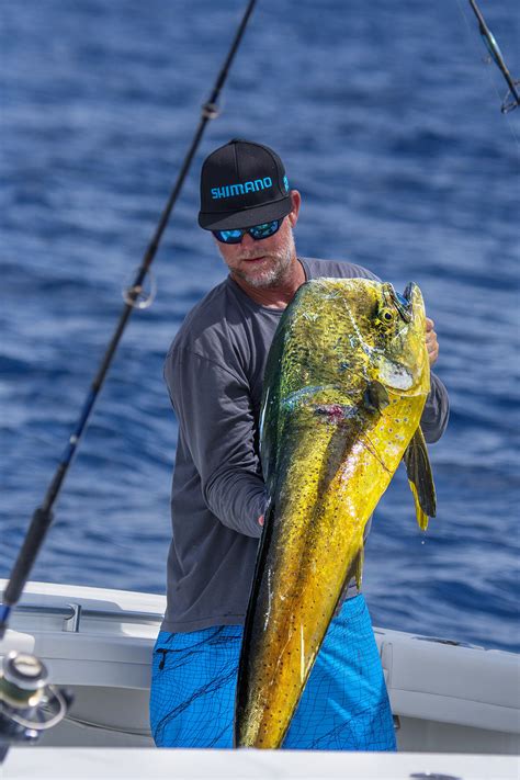 Two Quick Tips for Mahi-Mahi Fishing | WAYPOINT TV