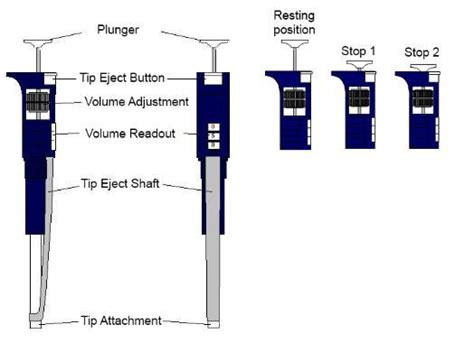 Micropipette Introduction Types And Usage Guide, 52% OFF